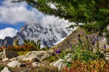 Vista dallo Skyway per il Monte Bianco