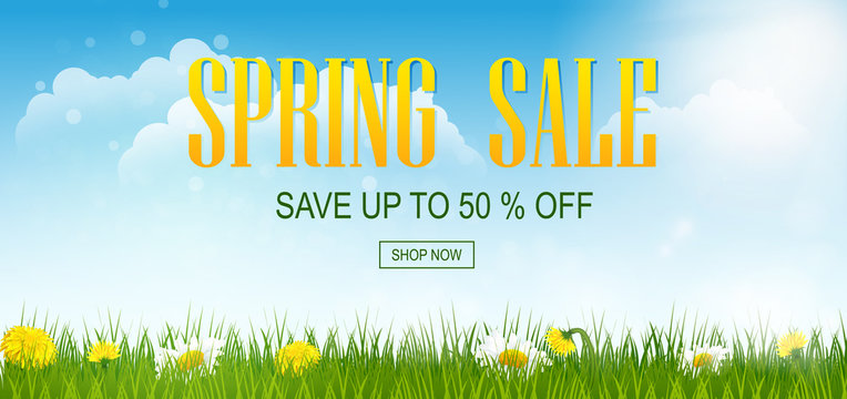 Spring sale banner with field. Spring flowers with grass