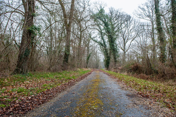 a lonely country  road in france
