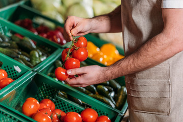 partial view of shop assistant arranging fresh vegetables in grocery shop