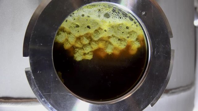 Modern Craft Brewery. Circulating beer with hop in the Hop Extractor (IPA production).