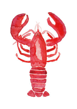 Lobster
