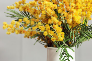 Mimosa spring flowers on gray background. Branch of yellow mimosa in vase. Selective focus.