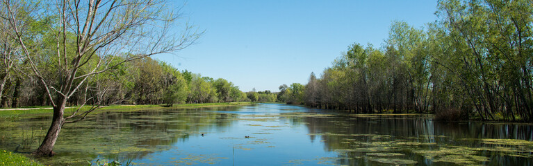 Fototapeta na wymiar Brazos Bend State Park, Texas