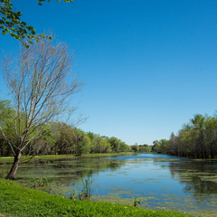 Brazos Bend State Park, Texas