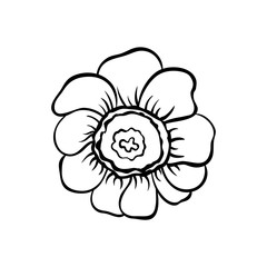 Vector outline illustration of flower. Black and white drawing of a plant. Isolated object of floral theme