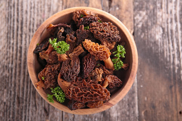 fresh morel, edible mushroom