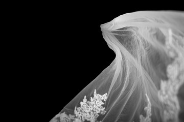 bridal Veil on black Background - obrazy, fototapety, plakaty