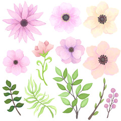 Set of Pink and Yellow Flowers and Green Leaves