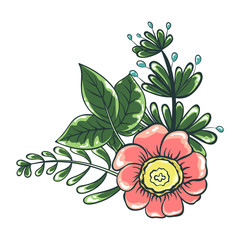 Vector illustration of flower bouquet. Color drawing of plants. Isolated objects of floral theme
