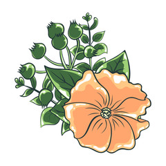 Vector illustration of flower bouquet. Color drawing of plants. Isolated objects of floral theme