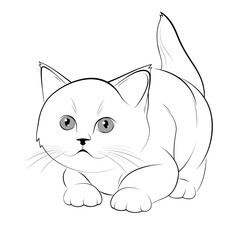 Monochrome silhouette of a playful cat.