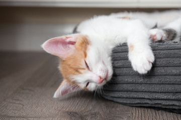 Very sleepy cute little kitten in a basket