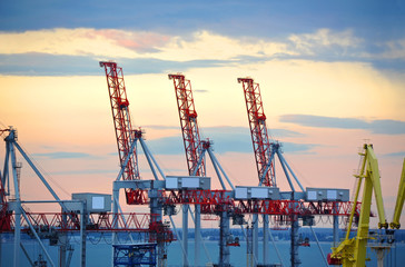 Port cargo crane at sunset