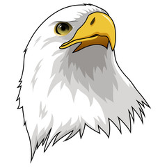 Mascot Head of Eagle Isolated on white background. Vector illustration