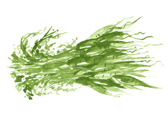 Watercolor card, greeting card with a picture of greens, onions, lettuce, beans, peas, sorrel. On a white background, with a place for your design and inscription. Art illustration