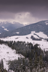 Landscape of the mountain forest