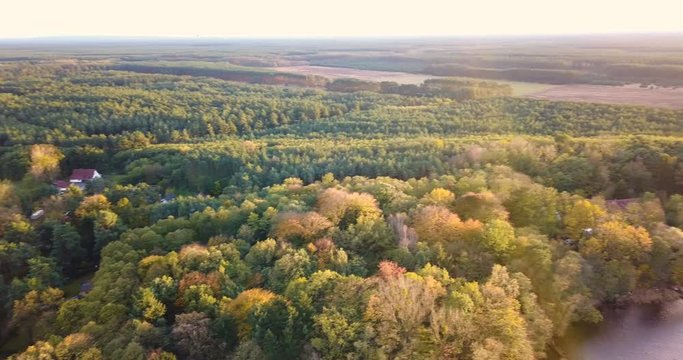Aerial panoramic of forest at sunset