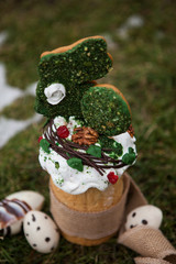 Easter cake in eco-style decorated with chocolate eggs in a nest on the background of spring grass and snow