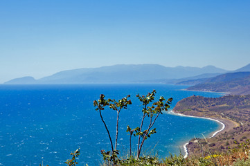 The surprising nature of Crimea