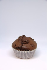 Chocolate cupcake with chocolate slices on isolated background