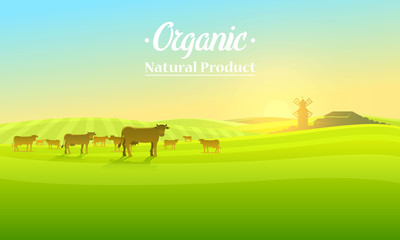 Naklejka na ściany i meble Rural landscape and cows. Farm Agriculture. Vector illustration. Poster with meadow, Countryside, retro village for info graphic, websites. Milk and dairy, Windmill and hay. Summer morning background.