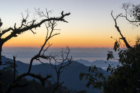 Fototapeta landscape of early morning sunrise on hill with silhouette branch tree