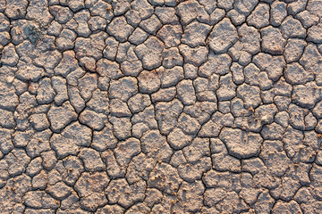 Cracked earth in summer, global warming