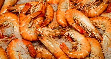 Frische Garnelen, Schrimps