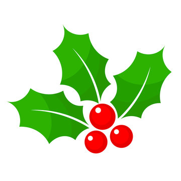 Christmas holly berry flat icon in cartoon style on white, stock vector illustration