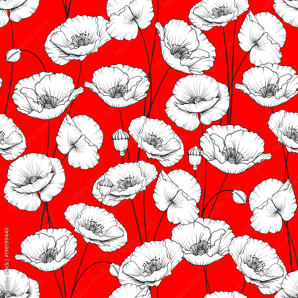 Wall mural pattern of poppy flowers on a white background. vector illustration.