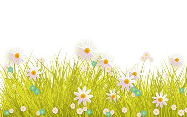 Fototapeta na wymiar Spring grass and flowers border on white background with empty space for text - greeting card decoration element for Easter congratulation. Cartoon vector illustration.