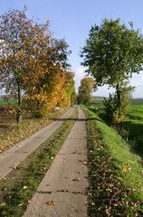 Fototapeta na wymiar Altenburg / Germany: Autumnal walking tour on the Martin Luther pilgrimage path between Oberloedla and Steinwitz