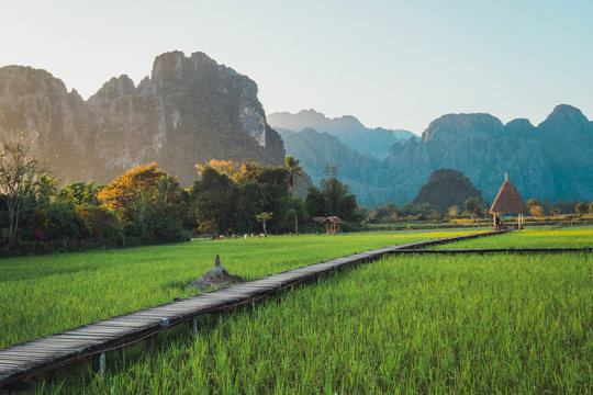 Scenic view of wooden walkway passing through field against mountains