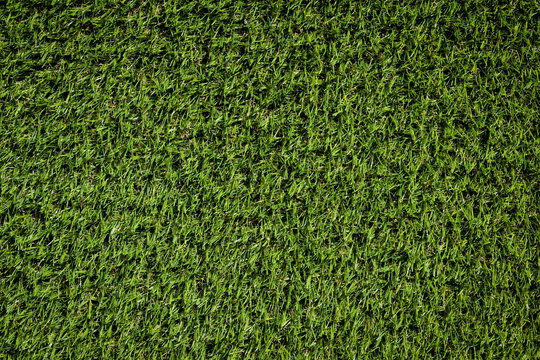 Grastextur, Natur, Textur