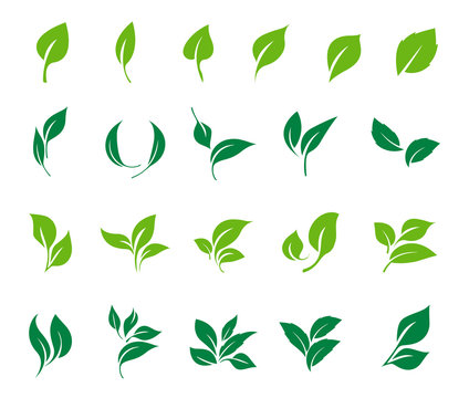 Leaves icon vector set. Ecology icon set.