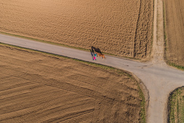 Spaziergänger mit Pferd 