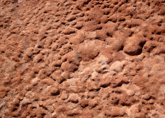 Close up of red rock sandstone with pitted texture in Bears Ears Wilderness of Southern Utah