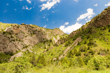 Beautiful nature in the Himalayas in spring