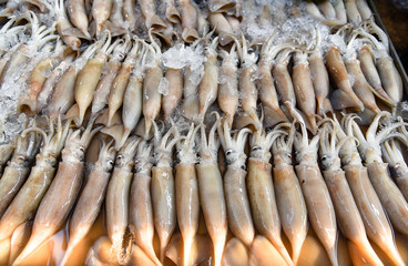 Squid in the market