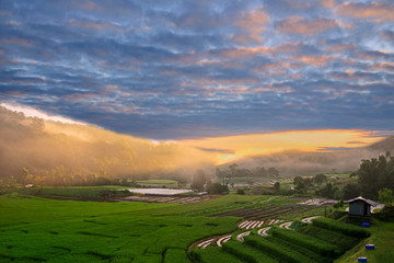 Beautiful morning of nature, Sunriset, fog, in the morning of Royal Project Fish (Sturgion) farm Doi Inthanon Homestay Mae Mae Luang Chiang Mai Thailand