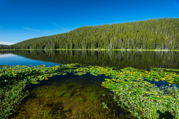 Calm Lake