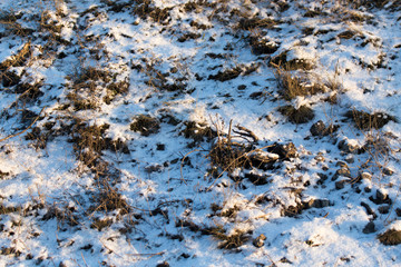 Snow on the ground in the rays of the sunset as a background
