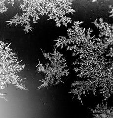 Black and white drawings on the glass in the frost