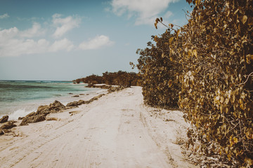 Guadeloupe - caribbean love