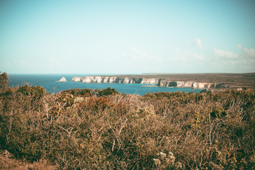 Guadeloupe - caribbean love