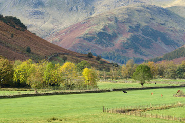 Fototapeta na wymiar Beautiful valley near Langdale in the Lake District with nice autumn colors.