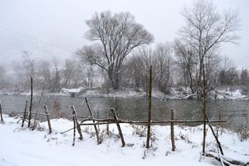 winter landscape of the river
