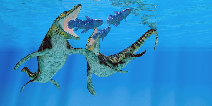 Tylosaurus Marine Reptiles - Coelacanth fish become prey to a pair of Tylosaurus marine reptiles in the Western Interior Seaway of North America.