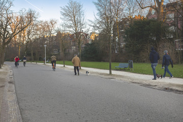 People walking their dog and cycling through the park, Vondelpark, Amsterdam, The Netherlands